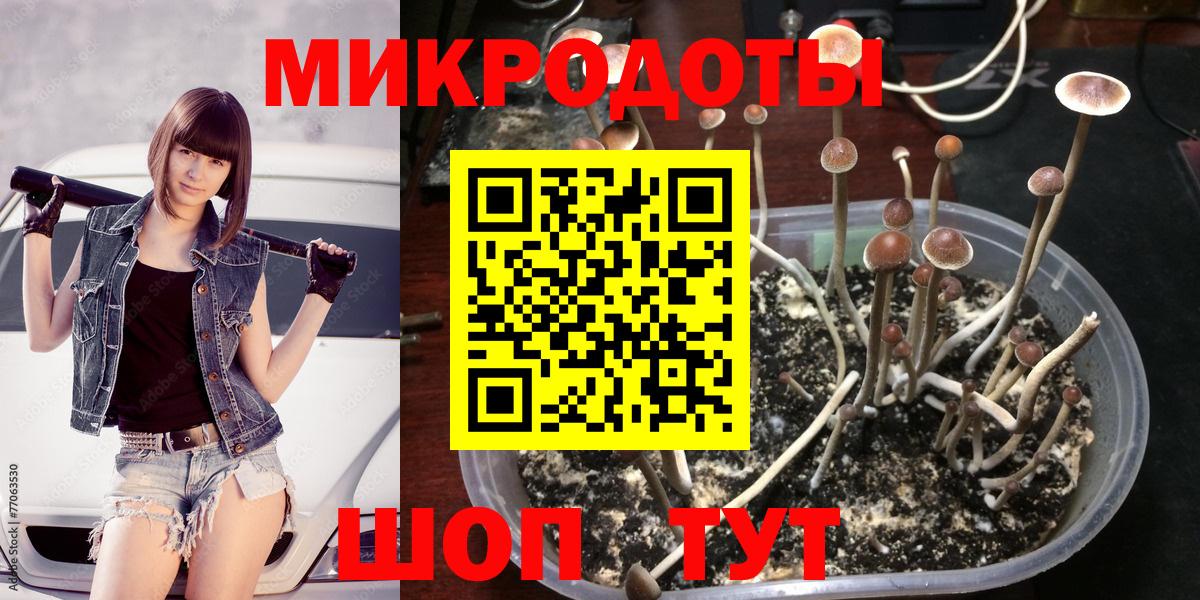 Асино  где купить наркоту  Вход с VPN  Псилоцибиновые грибы Psilocybe 