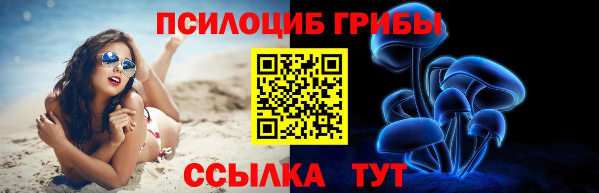 Галлюциногенные грибы MAGIC MUSHROOMS Асино